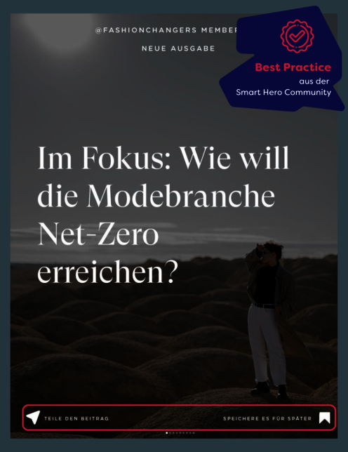 Screenshot eines Posts von Fashion Changers