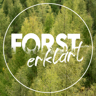 1. Platz: Forst erklärt